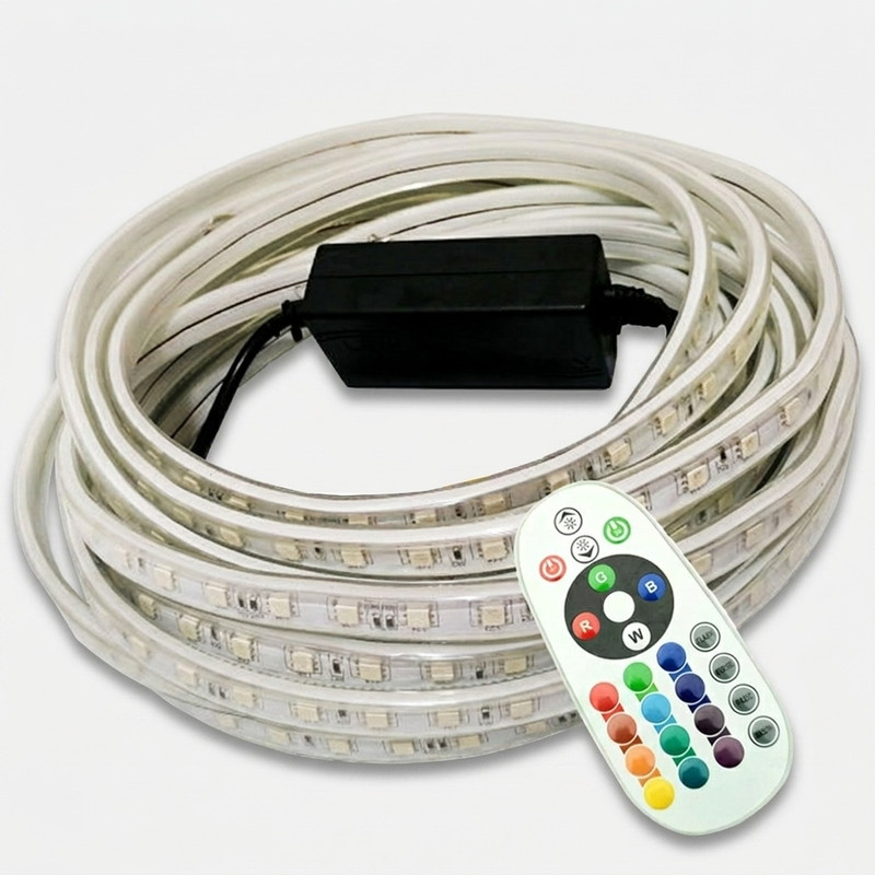 ریسه ال ای دی مدل  شلنگی RGB طول 10 متر به همراه ریموت